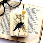 Load image into Gallery viewer, Crow Tin, Shiny Things | Large
