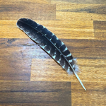 Load image into Gallery viewer, Cleansing Feather
