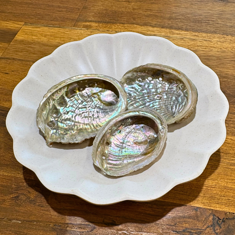 Abalone Shell Petite
