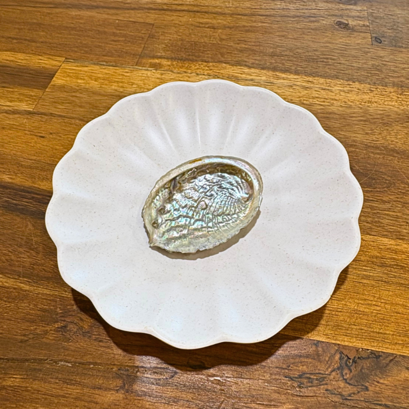 Abalone Shell Petite