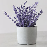 Load image into Gallery viewer, Aroma Oil Lavender
