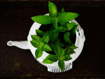 Load image into Gallery viewer, Aroma Oil Peppermint
